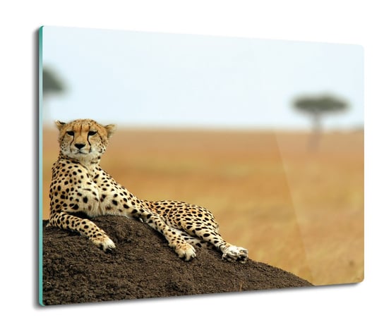 druk deska splashback szklana Gepard gleba 60x52, ArtprintCave ArtPrintCave