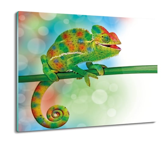 druk ochrona na indukcję Kameleon gad patyk 60x52, ArtprintCave ArtPrintCave