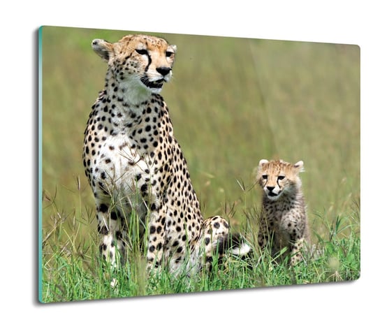 druk ochrona na indukcję Rodzina gepardy 60x52, ArtprintCave ArtPrintCave