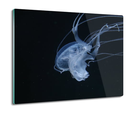 druk osłona na indukcję Meduza morze ocean 60x52, ArtprintCave ArtPrintCave
