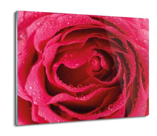 druk osłona na indukcję Róża makro płatki 60x52, ArtprintCave ArtPrintCave