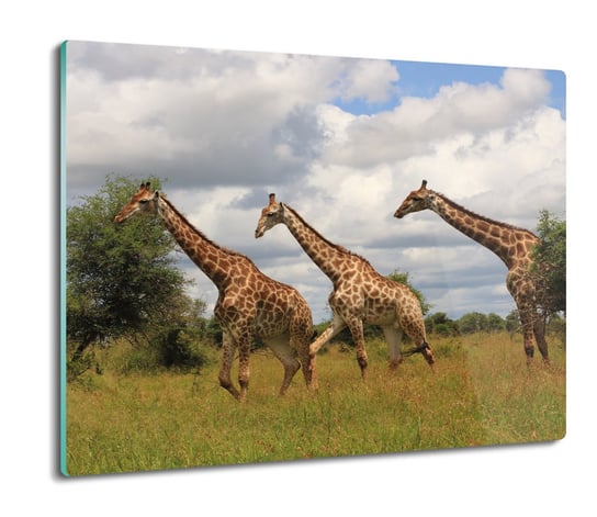 druk osłona na indukcję Żyrafy drzewa trawa 60x52, ArtprintCave ArtPrintCave