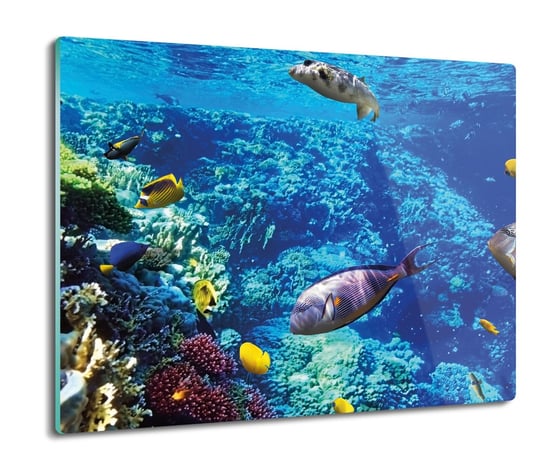 druk osłona splashback Ryby rafa koralowa 60x52, ArtprintCave ArtPrintCave