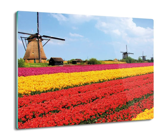 druk osłona splashback Tulipany pole Holand 60x52, ArtprintCave ArtPrintCave
