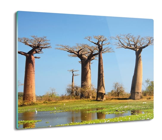 druk osłonka z grafiką Baobab drzewa Afryka 60x52, ArtprintCave ArtPrintCave