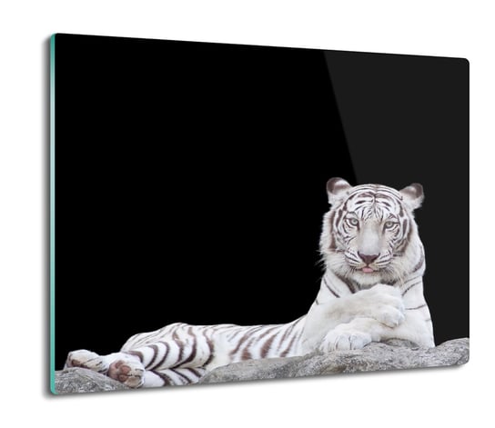 druk splashback szklana Biały tygrys skała 60x52, ArtprintCave ArtPrintCave