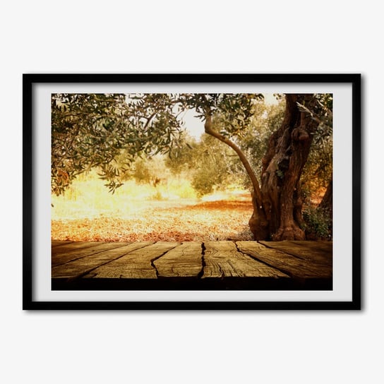 Drukowany obraz w ramie TULUP Drzewo oliwne 70x50 cm Tulup