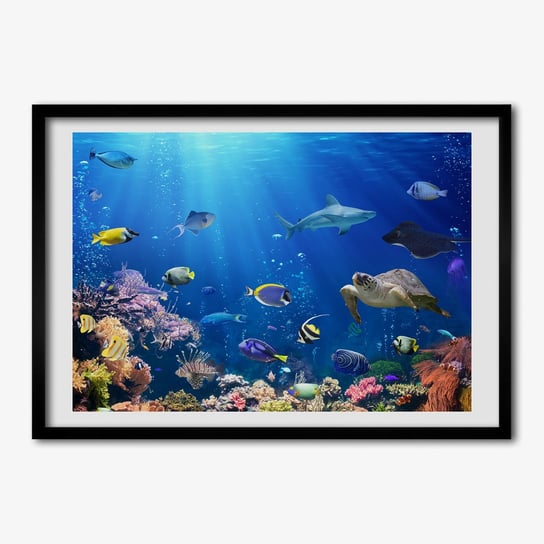 Drukowany obraz w ramie TULUP Rafa koralowa 70x50 cm Tulup