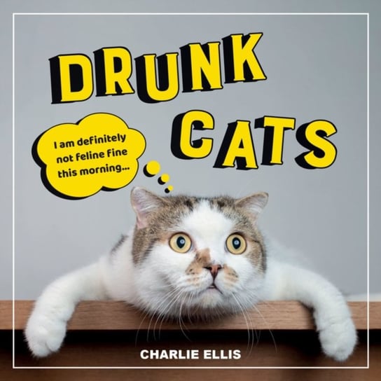 Drunk Cats: Hilarious Snaps of Wasted Cats Charlie Ellis