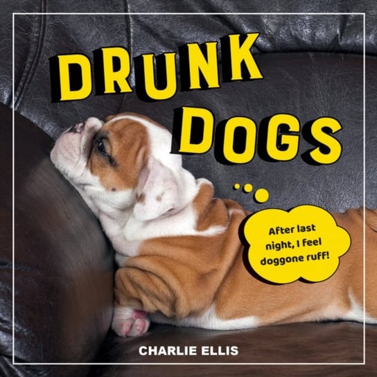 Drunk Dogs: Hilarious Pics of Plastered Pups Charlie Ellis