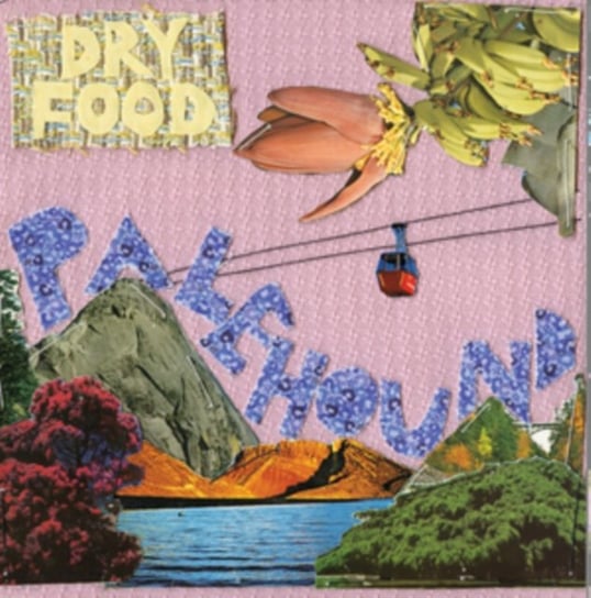 Dry Food LP, płyta winylowa Palehound