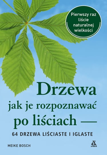 Drzewa. Jak je rozpoznawać Bosch Meike