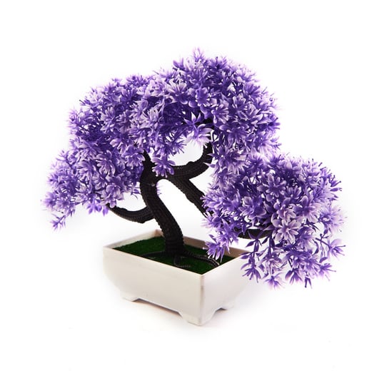 Drzewko Bonsai Dekoracja Roślina Różne Kolory Midex