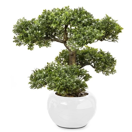 Drzewko bonsai w doniczce, liściaste, 33 cm Inna marka