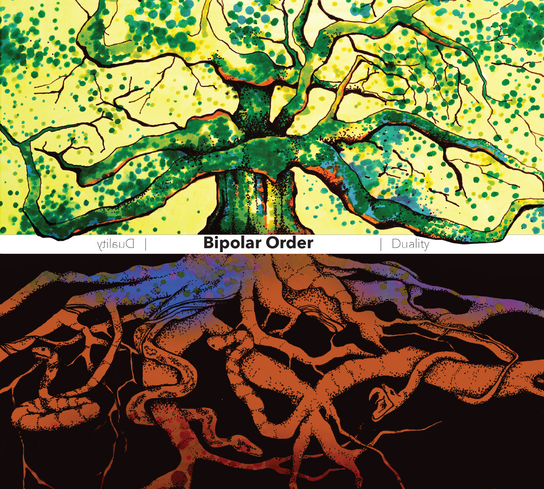 Duality Bipolar Order