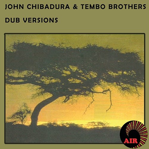 Dub Versions John Chibadura & Tembo Brothers