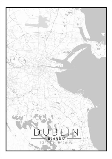 Dublin mapa czarno biała - plakat 29,7x42 cm Galeria Plakatu