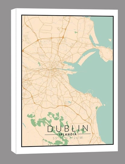 Dublin mapa kolorowa - obraz na płótnie 30x40 cm Inna marka