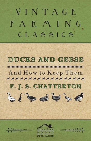 Ducks and Geese Chatterton F. J. S.