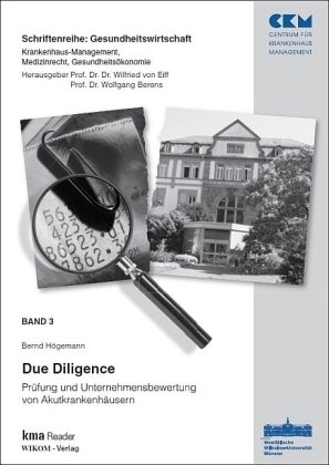 Due Diligence Hogemann Bernd