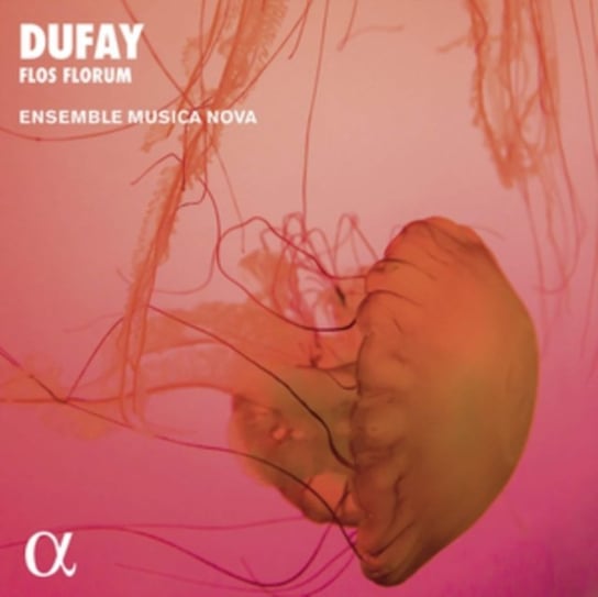 Dufay Flos Forum Ensemble Musica Nova