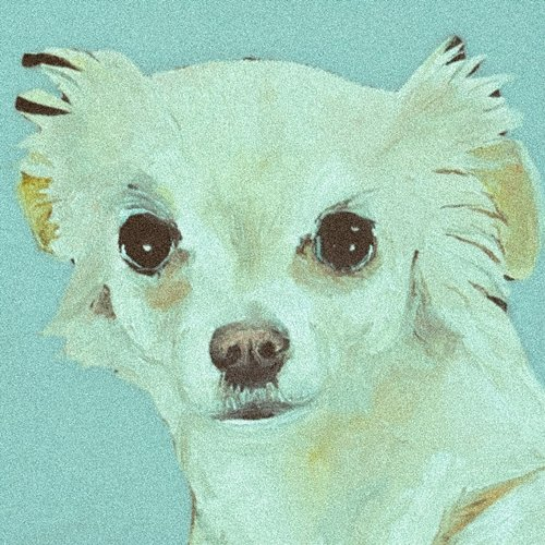 Dulce Perro Kovacs