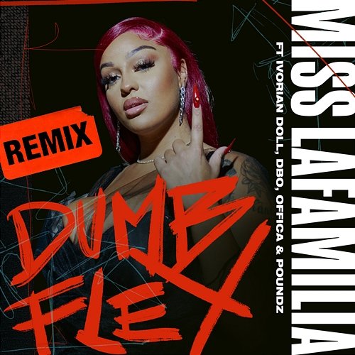 Dumb Flex Miss Lafamilia feat. Ivorian Doll, A9dbo Fundz, Offica, Poundz