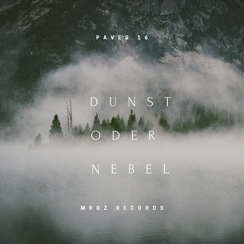Dunst oder Nebel Paves 16