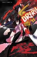 Durarara!!, Vol. 11 (light novel) Narita Ryohgo