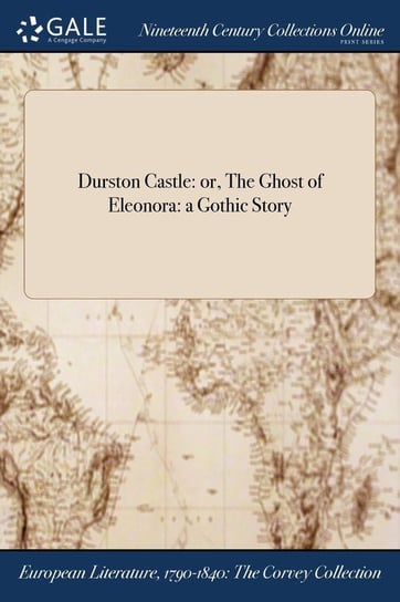 Durston Castle Anonymous