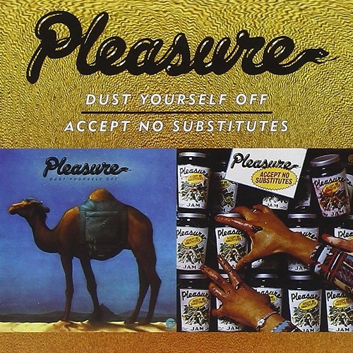 Dust Yourself Off / Accept No Substitutes Pleasure