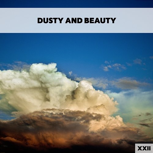 Dusty And Beauty XXII Various Artists