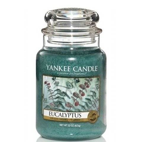 Duża świeczka zapachowa YANKEE CANDLE, Eucalyptus, 623 g Yankee Candle