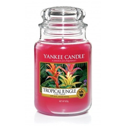 duża świeczka zapachowa YANKEE CANDLE, Tropical Jungle, 623 g Yankee Candle