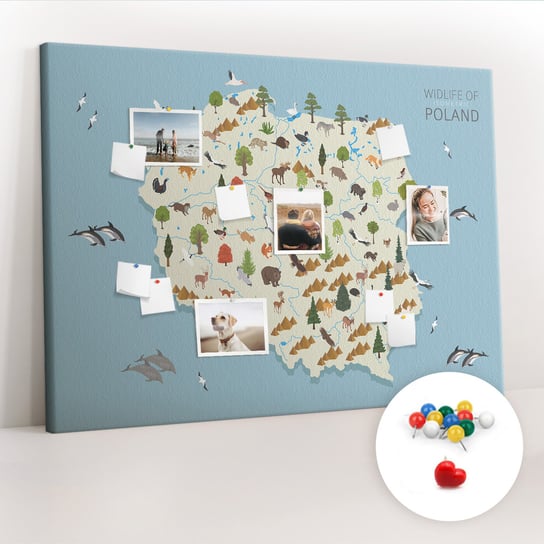 Duża Tablica, Korek 100x140 cm Wzór Polska Mapa zwierząt + Pinezki Kolorowe Coloray