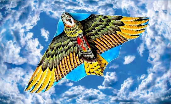 Duży latawiec z wizerunkiem orła - 60 x 120 cm WKS