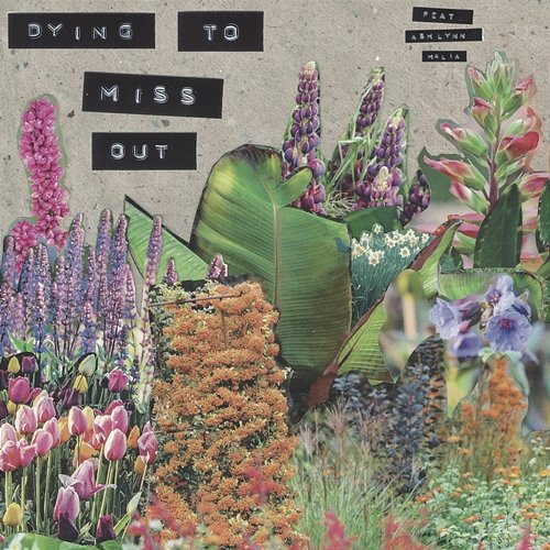 Dying To Miss Out Kim Tee feat. Ashlynn Malia