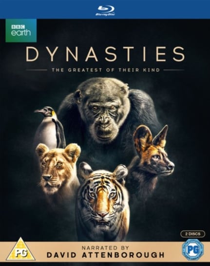 Dynasties (brak polskiej wersji językowej) 