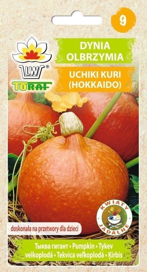 Dynia olbrzymia UCHIKI KURI 
(Hokkaido, doskonała na przetwory dla dzieci)
Cucurbita maxima Toraf