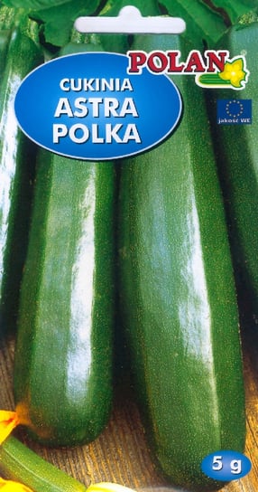 Dynia zwyczajna Astra Polka POLAN Polan