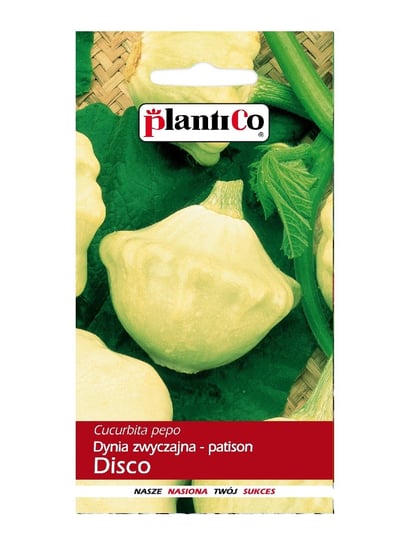 Dynia Zwyczajna Patison Disco 2g PlantiCo PlantiCo