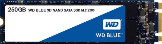 Dysk SSD WESTERN DIGITAL Blue WDS250G2B0B, M.2 2280, 250 GB, SATA III Western Digital