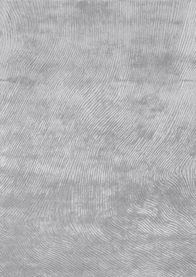 Dywan Canyon  Gray 160x230  Stone Collection Carpet Decor