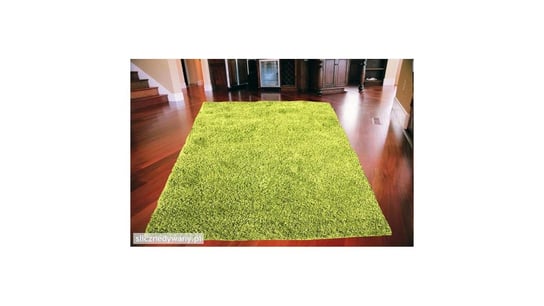 Dywan do salonu Zielony Grass SHAGGY 200x290 cm Śliczne Dywany