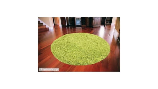 Dywan do sypialni, Shaggy, zielony, Grass, koło, 80x80 cm Śliczne Dywany