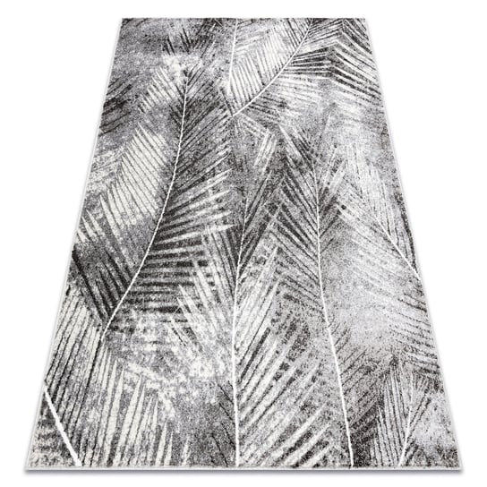 Dywan MATEO 8035/644 Nowoczesny liście palmy - strukturalny szary, 120x170 cm Dywany Łuszczów
