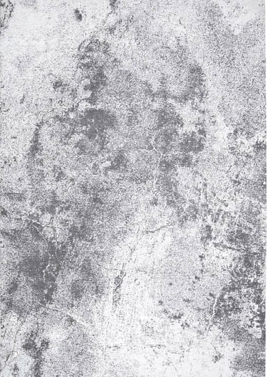Dywan Moon  Light Gray 160x230  Magic Home Carpet Decor