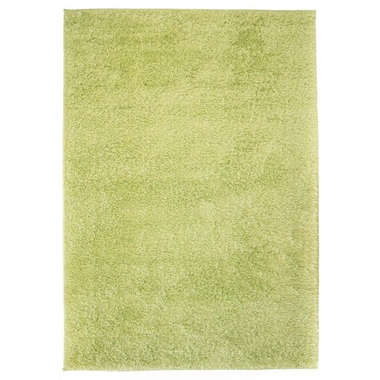 Dywan MWGROUP Shaggy, zielony, 80x150 cm vidaXL