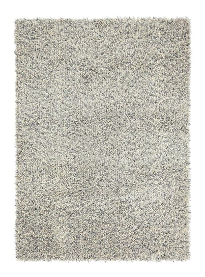 Dywan Shaggy Young szary 250x350cm CARPETS & MORE