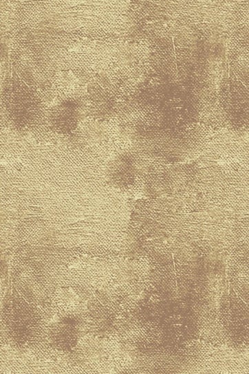 Dywan Wełniany Do Salonu Neutral Gold Złoty Tempo-200X300 Cm Agnella Białystok